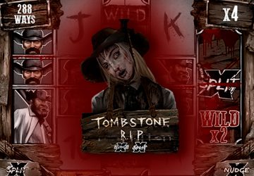 Microgaming - игровой автомат онлайн от Various с RTP 96.49%